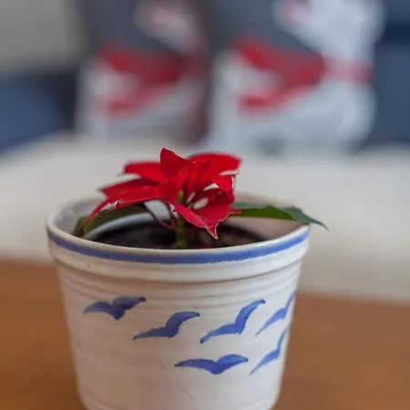 Apartament Milena Zlatibor