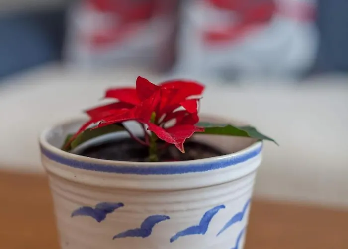 Daire Milena Zlatibor